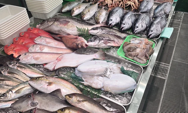 水産売場の氷の上に並ぶ丸ごとのタイやイカなどの魚