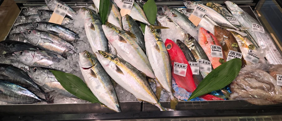 青木店の水産売場で氷の上に並ぶ丸ごとのブリやキンメダイ