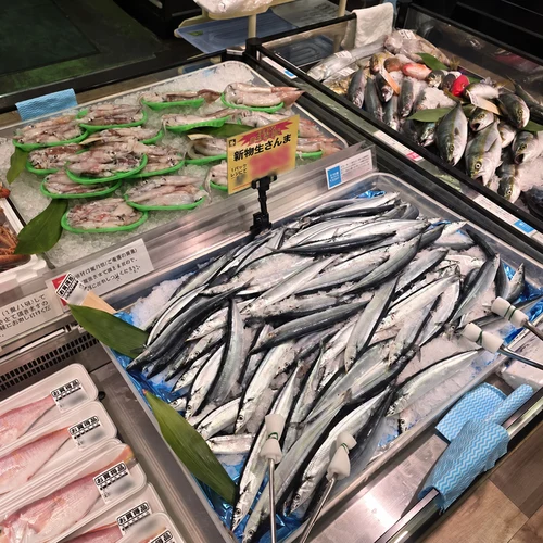 青木店の水産売場に並ぶ新物生さんまやイカの盛り付け