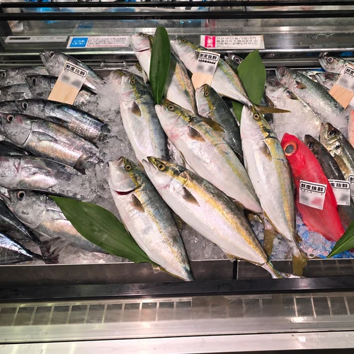青木店の水産売場に氷敷きで並べられたハマチやアジ