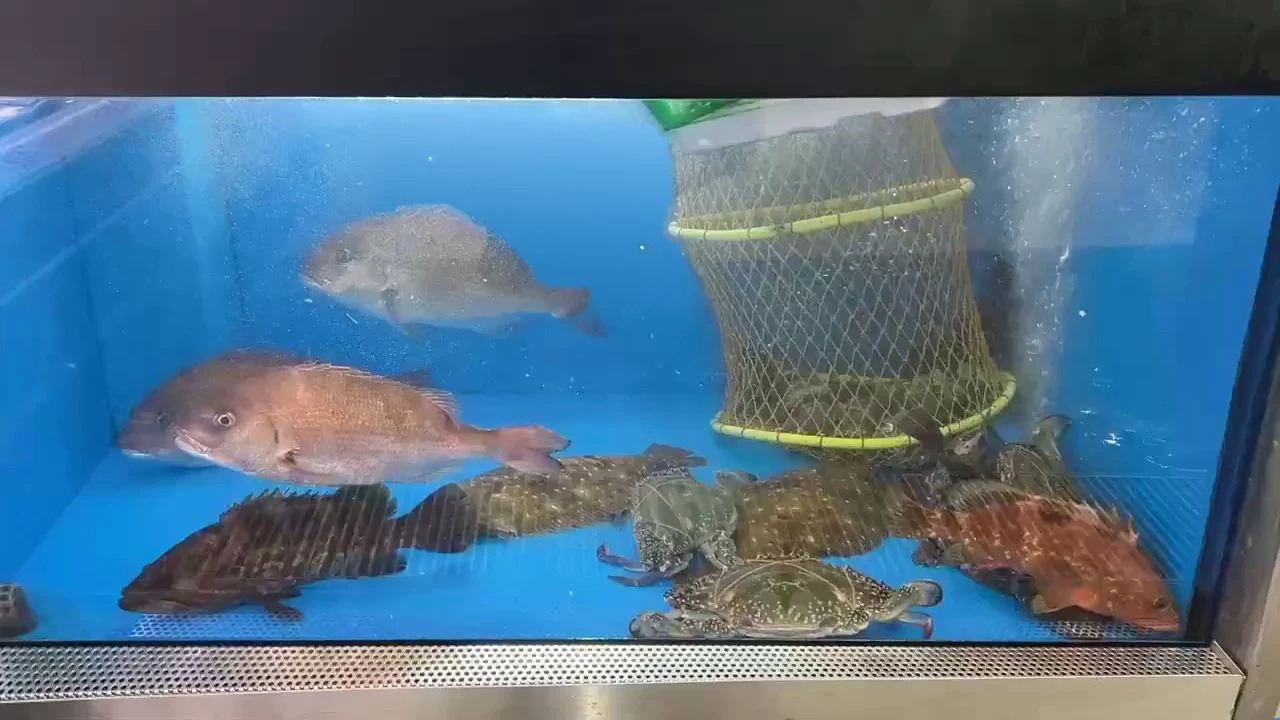 当社の水産売場の水槽