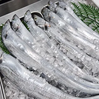 銀色に輝く太刀魚の氷上陳列