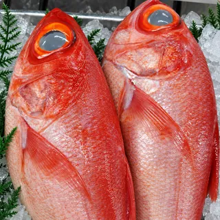鮮やかな金目鯛の氷上陳列
