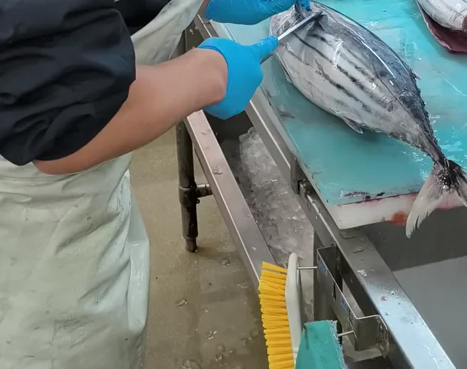魚をさばくスタッフの手元